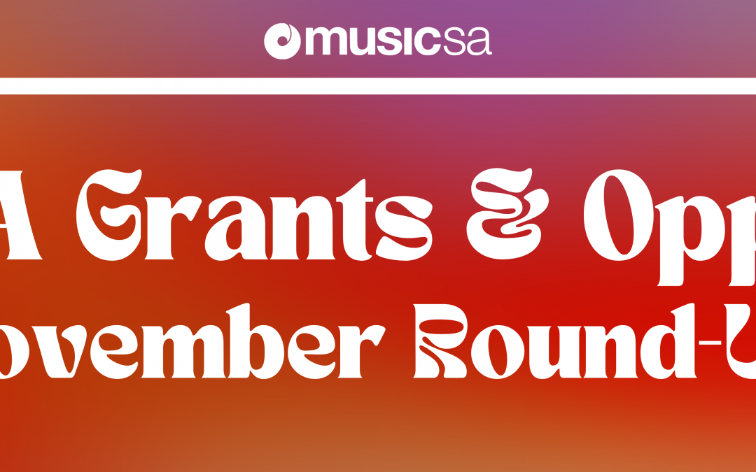 SA GRANTS AND OPPORTUNITIES: NOVEMBER ROUND UP
